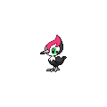 ShinyPikipek