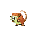 ShinyRaticate