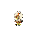 ShinyRufflet