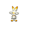 ShinyScorbunny