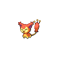 ShinySkitty