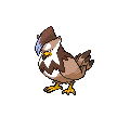 ShinyStaraptor