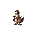 ShinyStaravia