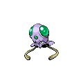 ShinyTentacool