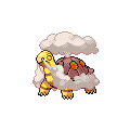 ShinyTorkoal