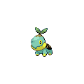 ShinyTurtwig