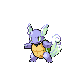 ShinyWartortle