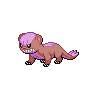 ShinyYungoos