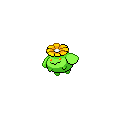Skiploom