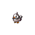 Starly