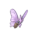 Venomoth