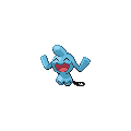 Wynaut